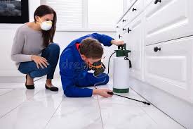 Real Estate Pest Inspections in Somerville, NJ